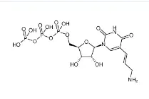 CAS號：112131-73-4，Aminoallyl-UTP，氨基烯丙基尿苷三磷酸