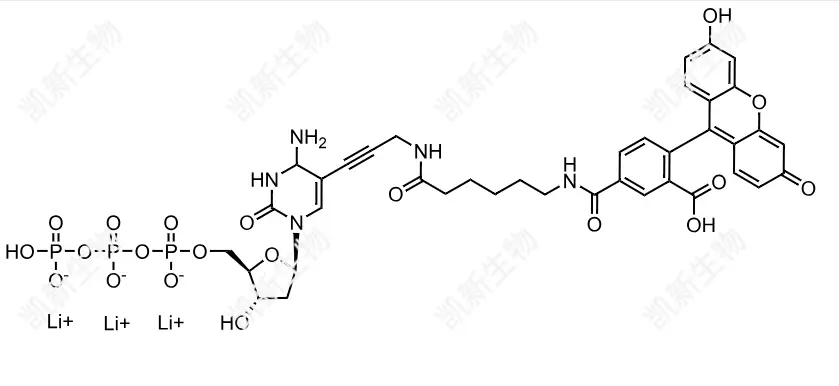 FAM-11-dCTP，熒光素標(biāo)記脫氧胞苷三磷酸：高效熒光標(biāo)記的脫氧胞苷三磷酸衍生物及其分子生物學(xué)應(yīng)用