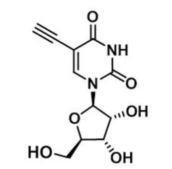 5-Ethynyluridine，5-EU，69075-42-9，核心結(jié)構(gòu)特點是在尿苷的5位碳上引入了一個乙炔基